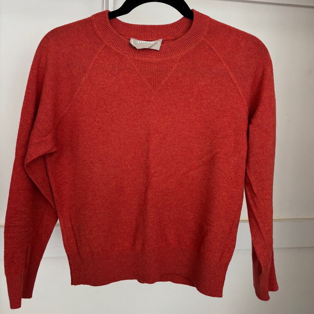 Everlane Classic Crew Cashmere Sweater in Orange